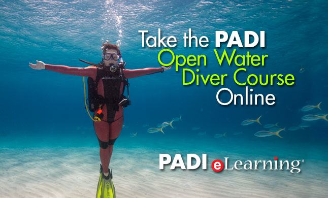 PADI Open Water Diver Online Class